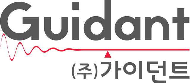 가이던트